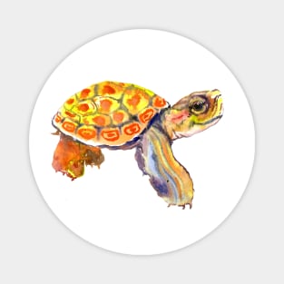 Orange Cute Turtle Magnet